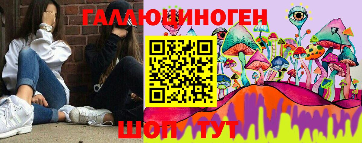 цена   Галлюциногенные грибы Psilocybe  Сосновый Бор  Вход с VPN  Галлюциногенные грибы Cubensis 