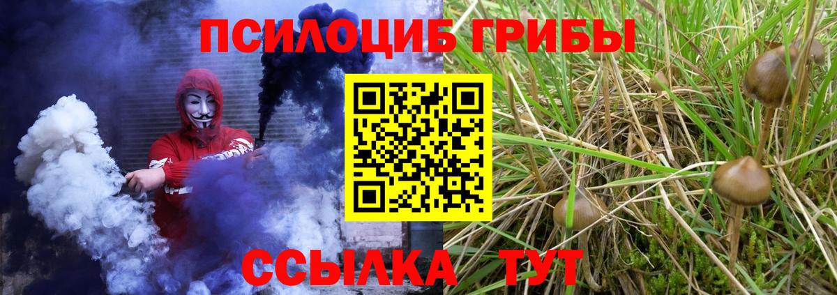 Галлюциногенные грибы прущие грибы Сосновый Бор